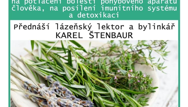 ZDRAVOTNÍ PŘEDNÁŠKA O BYLINKÁCH A MASTIČKÁCH