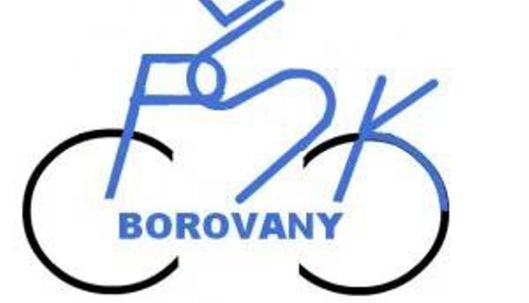 Borovanský vrchař