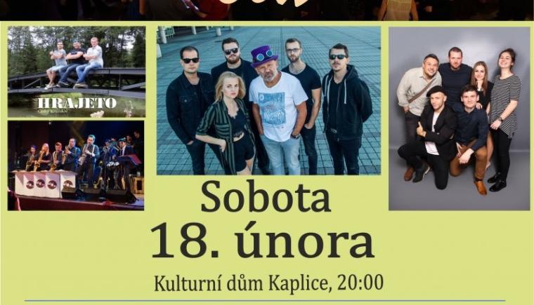 Muzikantský ples