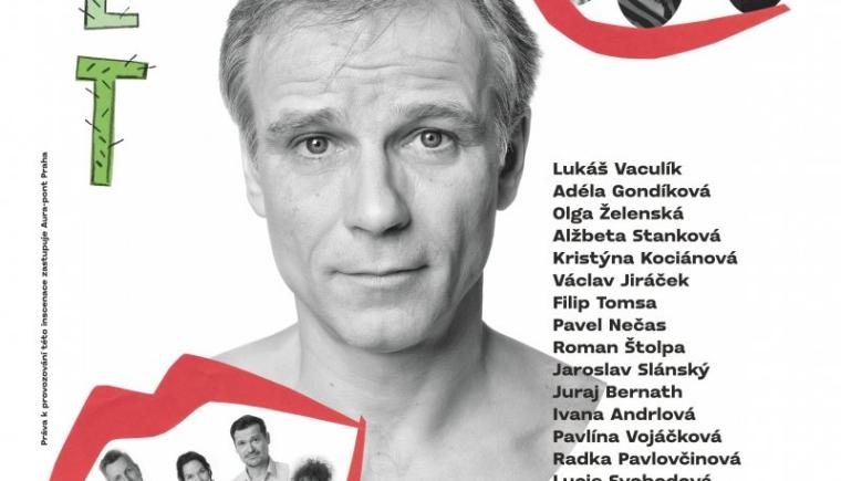 Kaktusový květ