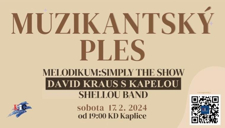 Muzikantský ples