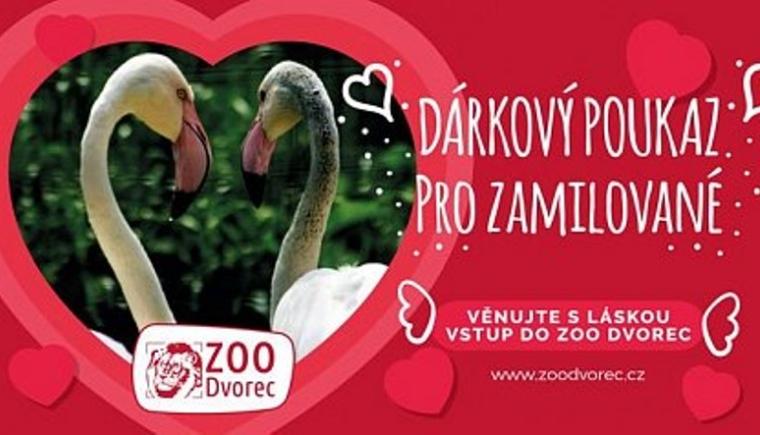 Valentýn v ZOO