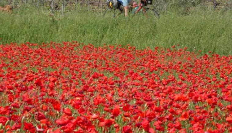 Z jarní Provence přes alpské průsmyky do Čech na kole