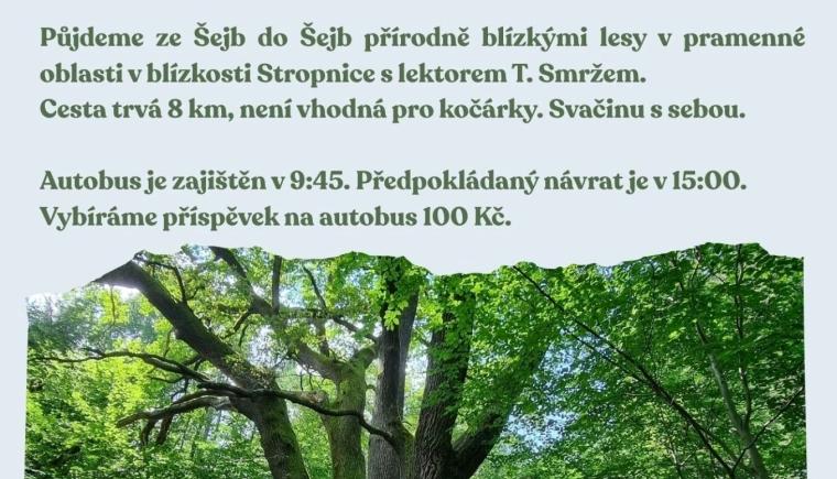 Kouzla Šejb a Stropnice