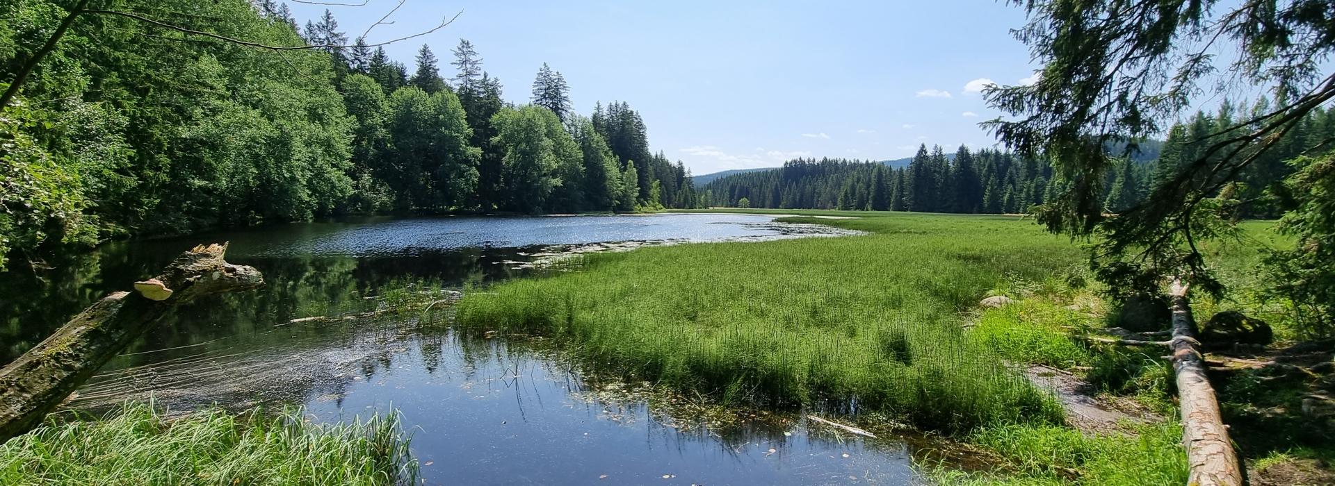Kapeluňk