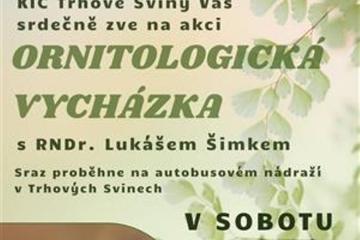Plakát
