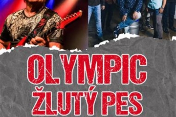 Plakát