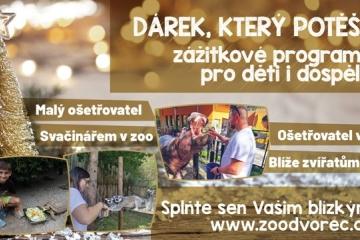 Dárek