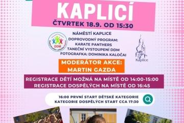 Plakát
