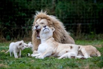 ZOO DVOREC 