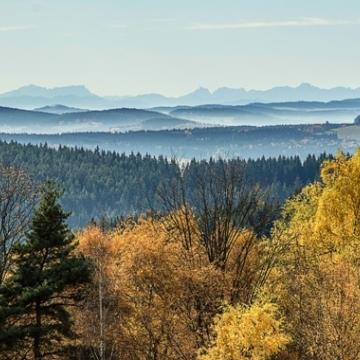 Poluška