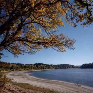 Žárský rybník